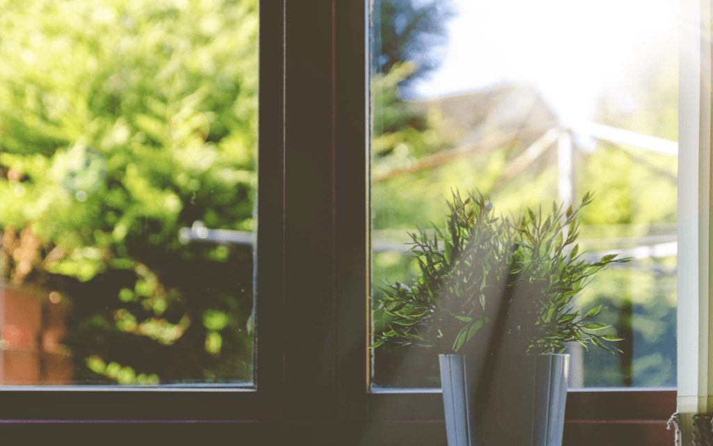 Window Care & Maintenance Tips